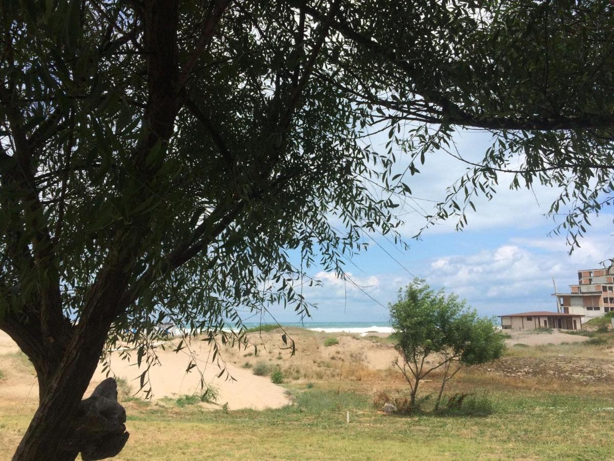 Bungalow "Pod Varbata" لوزينيتس المظهر الخارجي الصورة