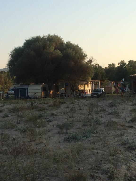 Bungalow "Pod Varbata" لوزينيتس الغرفة الصورة